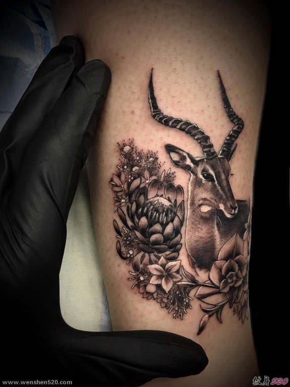 手臂上纹身黑白灰风格点刺纹身植物纹身素材花朵纹身动物纹身图片