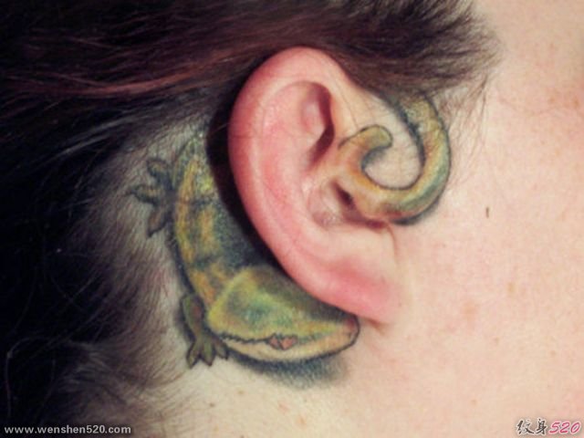 一组耳朵上小巧可爱的纹身图案