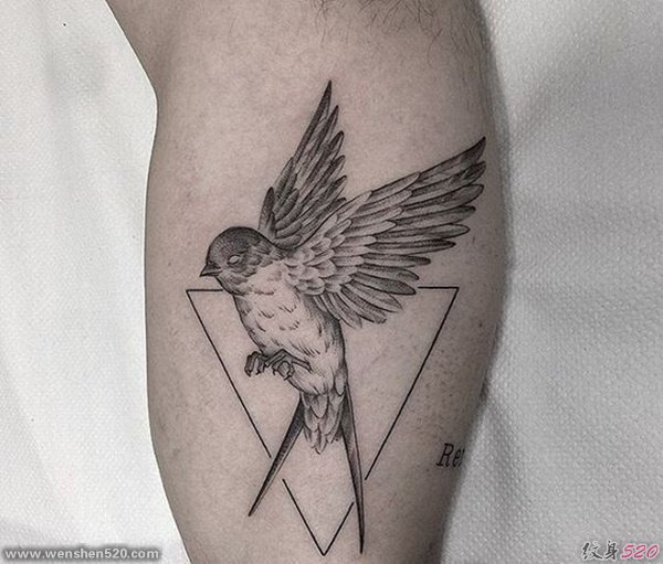一组活泼生动的小鸟纹身动物纹身图案