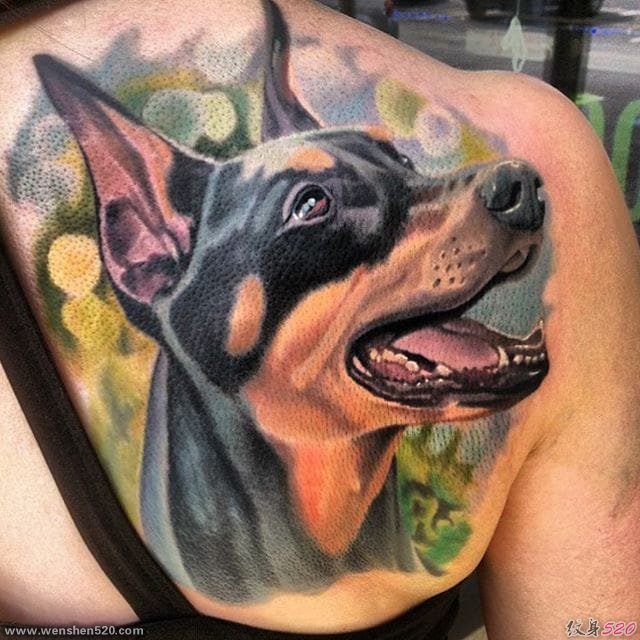 一组生动且活泼的杜宾犬宠物狗纹身动物纹身图案大全