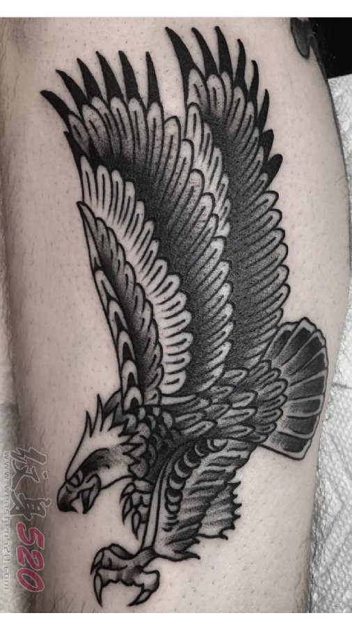 小腿上纹身黑白灰风格点刺纹身几何元素纹身简单线条纹身老鹰纹身动物纹身图片