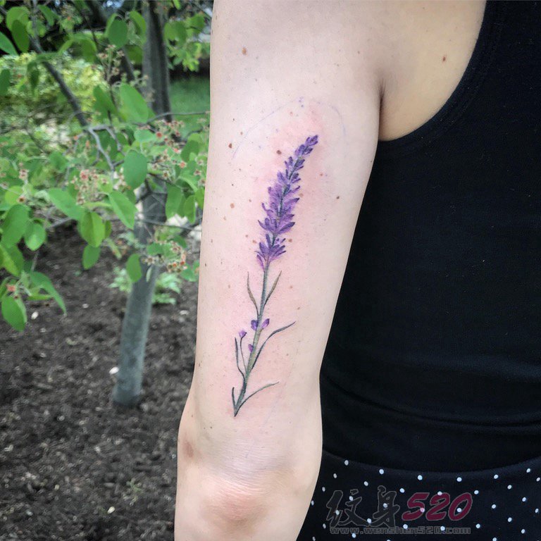 手臂上彩绘纹身技巧小清新植物纹身花朵纹身图片