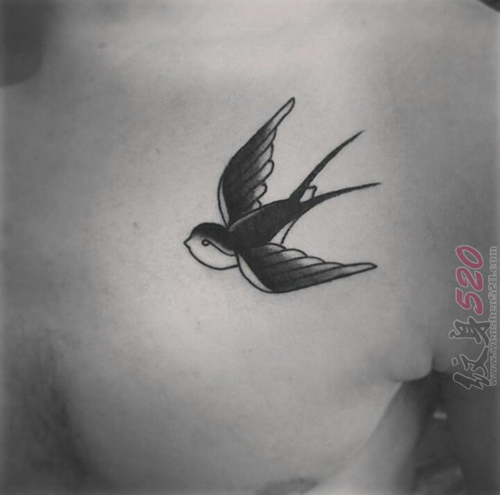 男生胸部纹身黑白灰风格纹身点刺技巧简单线条纹身燕子纹身动物图片