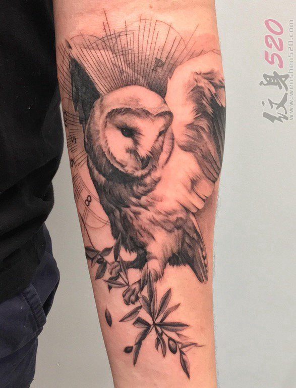 手臂上纹身黑白灰风格纹身点刺技巧植物纹身素材猫头鹰纹身动物纹身图片