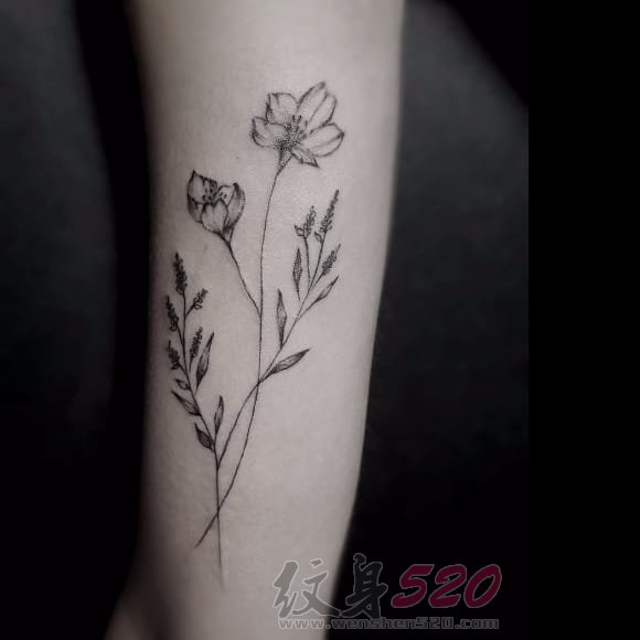 一组女生黑白纹身点刺技巧简约线条纹身植物纹身素材花朵纹身图案