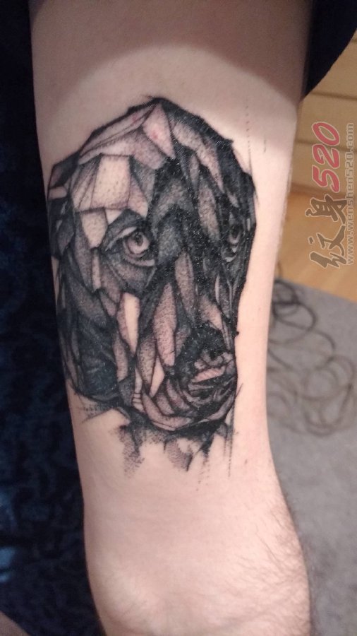 手臂上纹身黑白灰风格纹身点刺技巧简易纹身素描几何元素纹身狗纹身动物图片
