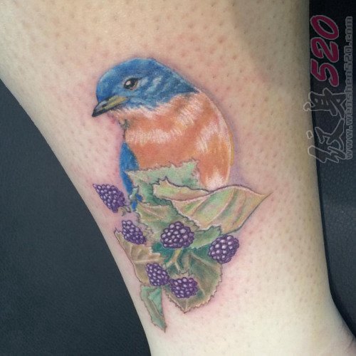 小腿上彩绘纹身技巧植物纹身素材纹身叶子鸟纹身动物图片