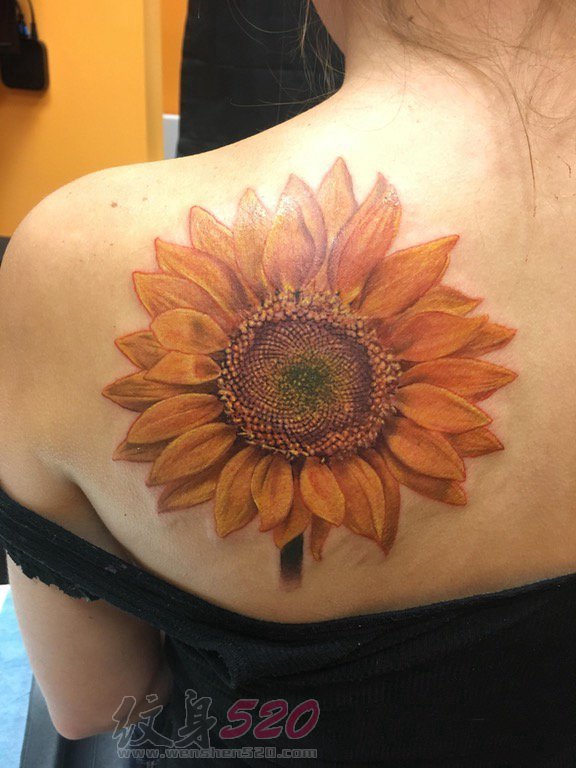 女生肩部彩绘纹身技巧简约线条纹身小清新植物纹身向日葵纹身图片