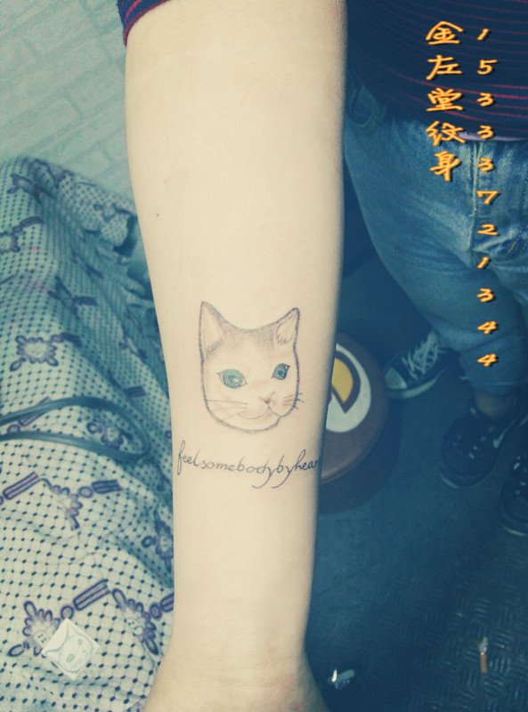 小猫咪纹身 @＃金左堂纹身＃➹盖疤痕➹修改纹身 水冶纹身