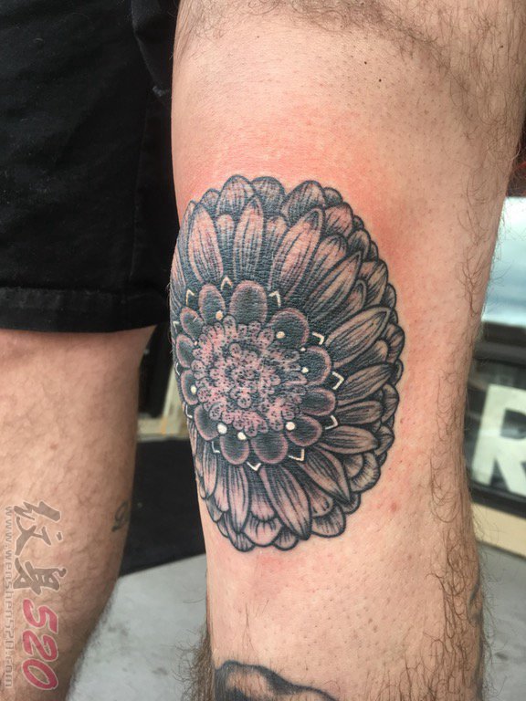 大腿上纹身黑白灰风格点刺纹身几何元素纹身植物纹身素材花朵纹身图片