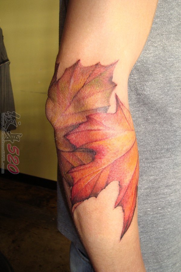 12款和秋天有关的小叶子纹身图案