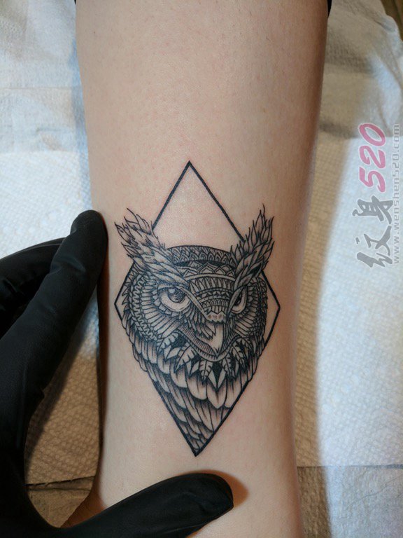 手腕上黑白线条几何元素动物猫头鹰纹身图片