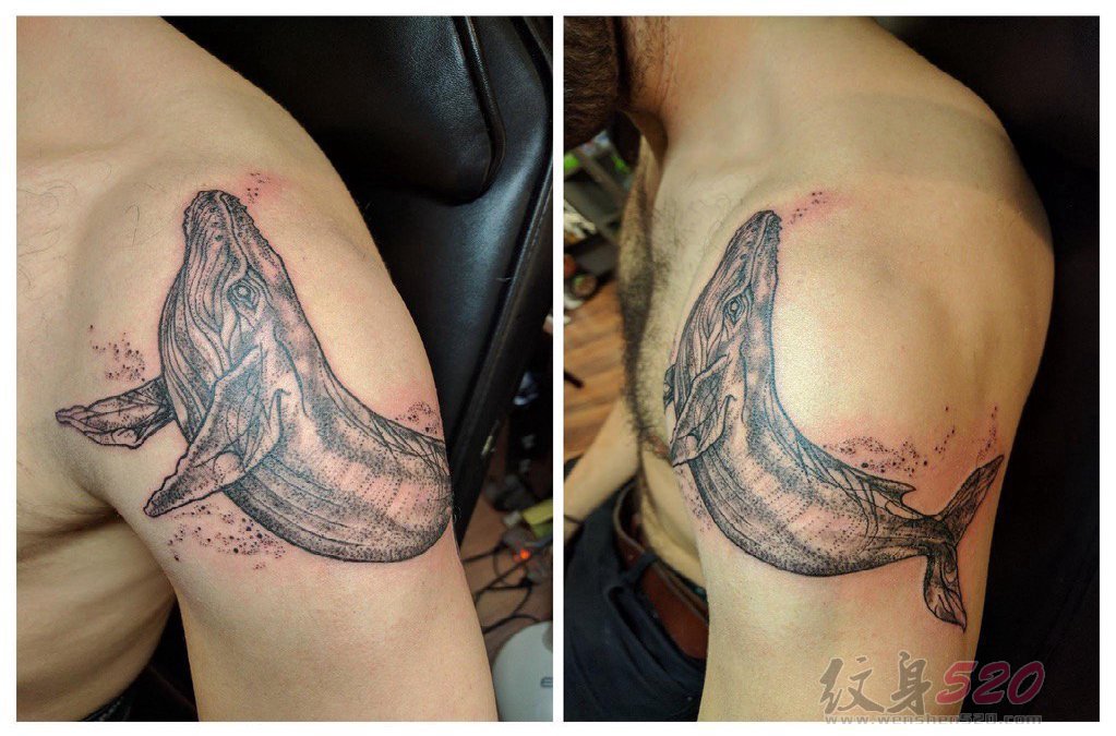 男生手臂上点刺技巧动物鲸鱼纹身图片