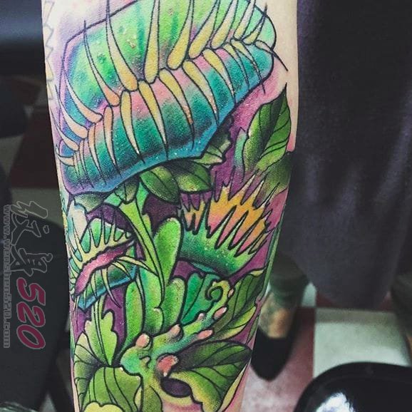 彩绘创意设计植物系列纹身图案