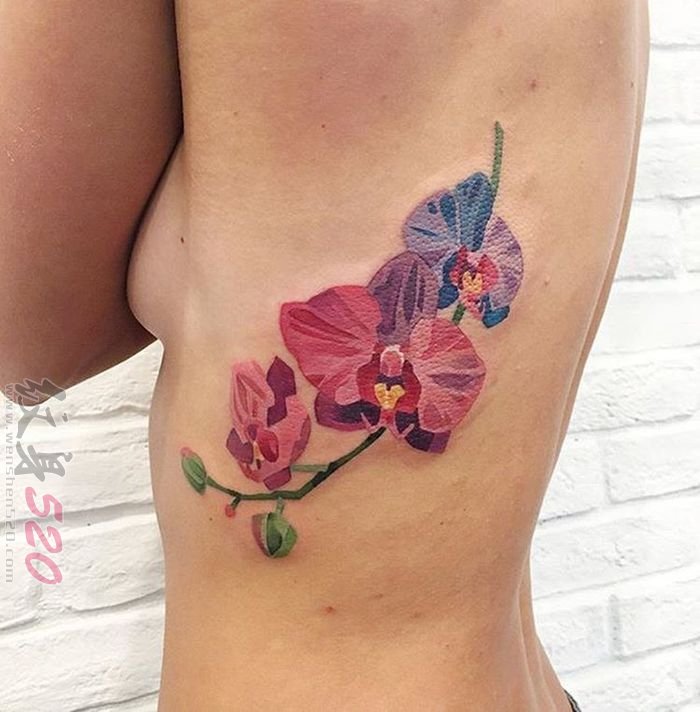 女生植物小清新文艺花朵纹身图案