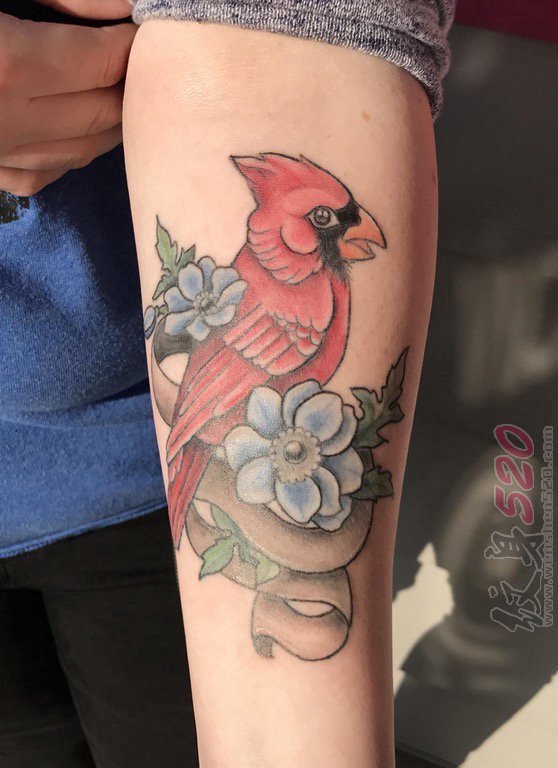女生手臂上彩色动物小鸟纹身图片