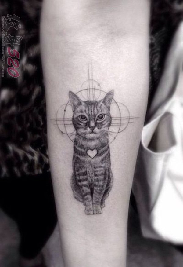 一组关于猫的创意个性文艺小清新纹身图案