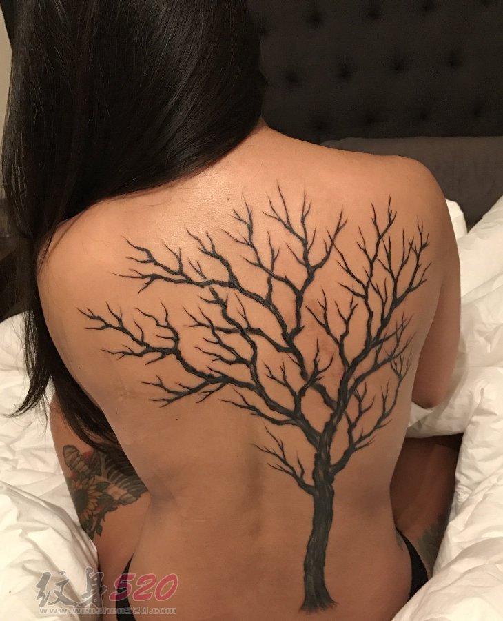 女生背部黑色植物素材抽象线条生命树纹身图片