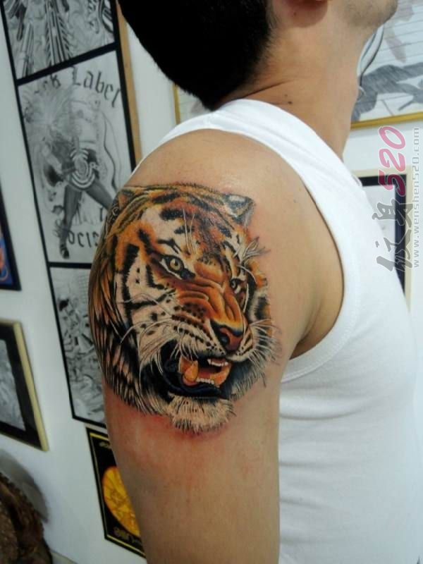 霸气侧漏的彩绘动物简单个性线条老虎头纹身图案