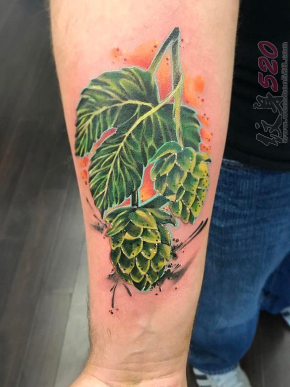 男生手臂上彩绘绿色树叶和葡萄纹身图片