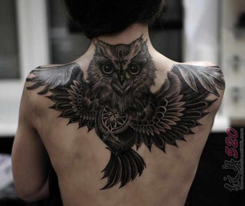 一组关于猫头鹰的黑色素描个性纹身图案