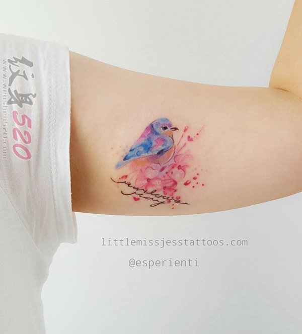 一组关于小动物小鸟的彩绘水彩泼墨纹身图案