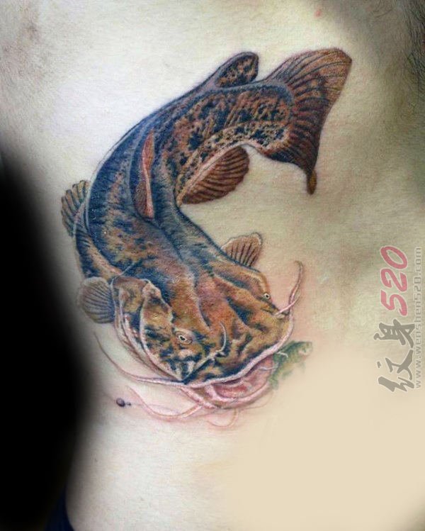 一组关于鲶鱼的创意个性纹身图案