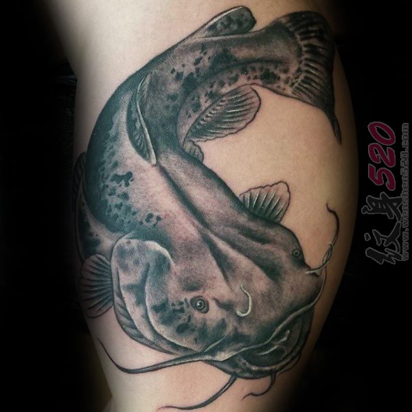 多款个性小动物抽象线条鲶鱼纹身图案