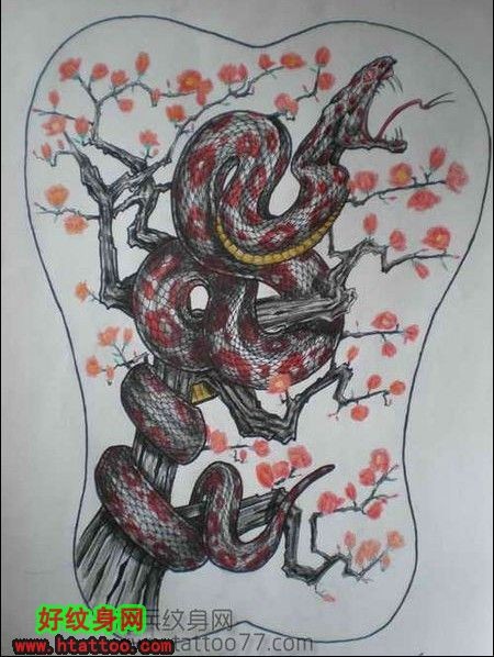 梅花树上的大蛇图案