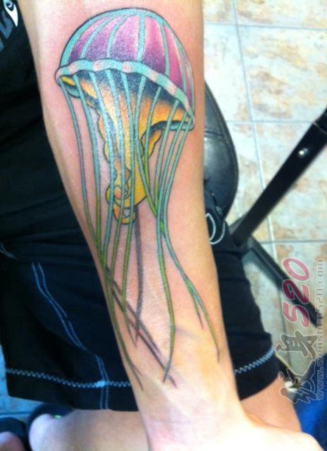 男生手臂上彩绘小动物抽象线条水母纹身图片