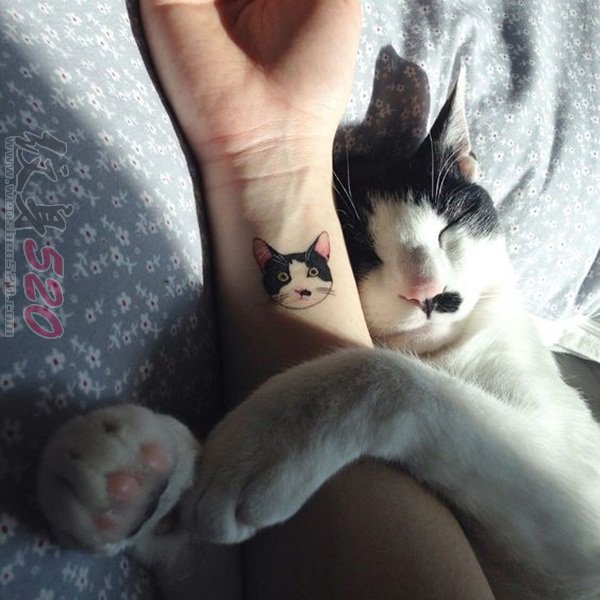 13款关于猫咪的超可爱黑色线条小图案纹身图案
