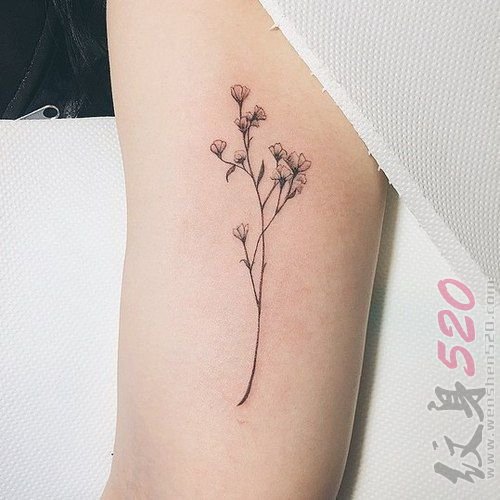 10款女生喜爱的漂亮植物素材花朵纹身图案
