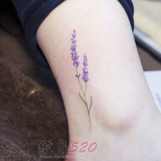 10款女生喜爱的漂亮植物素材花朵纹身图案
