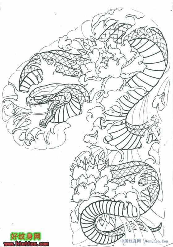 一条长长的蛇纹身手稿六素材
