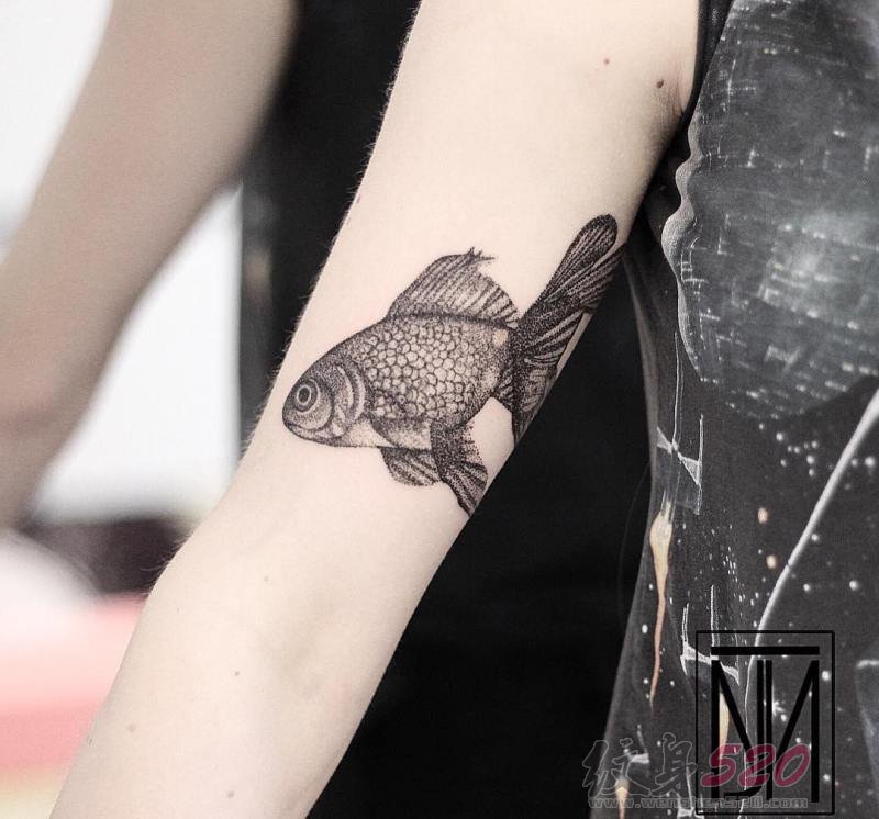 一组关于小鱼的设计感十足创意个性纹身图案