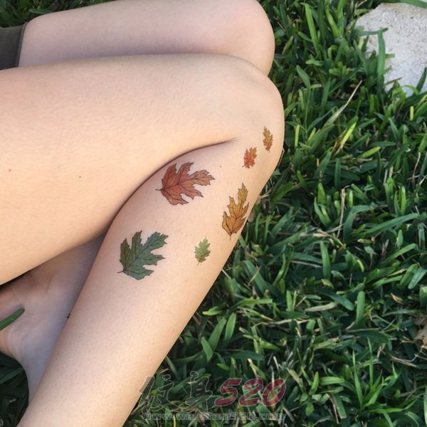适合夏秋天的清新随意植物纹身图案