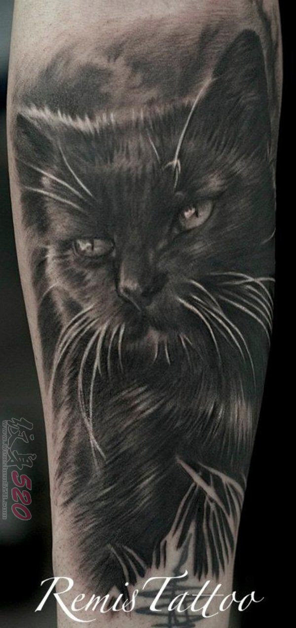 男生手臂上黑色素描点刺技巧创意猫纹身图片