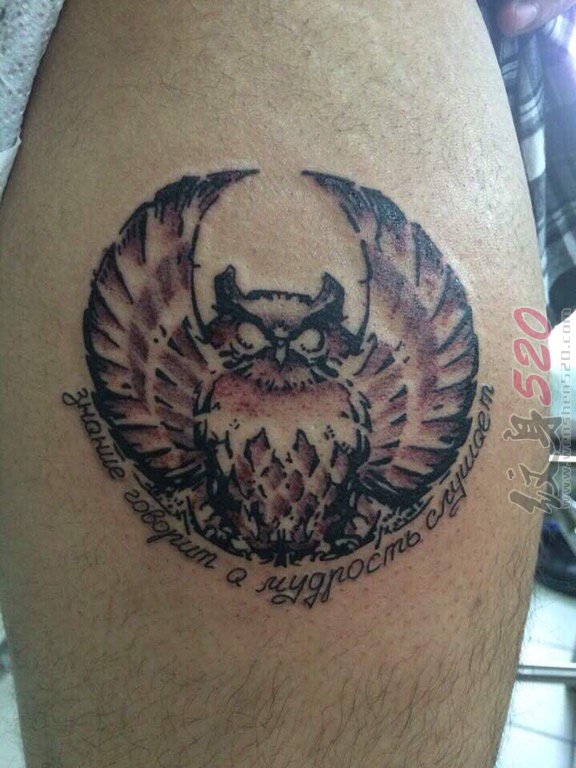 男生手臂上彩绘猫头鹰纹身图片