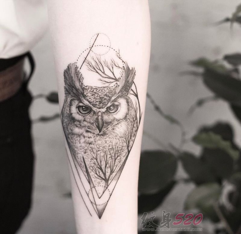 多款黑色素描点刺技巧创意猫头鹰纹身图案