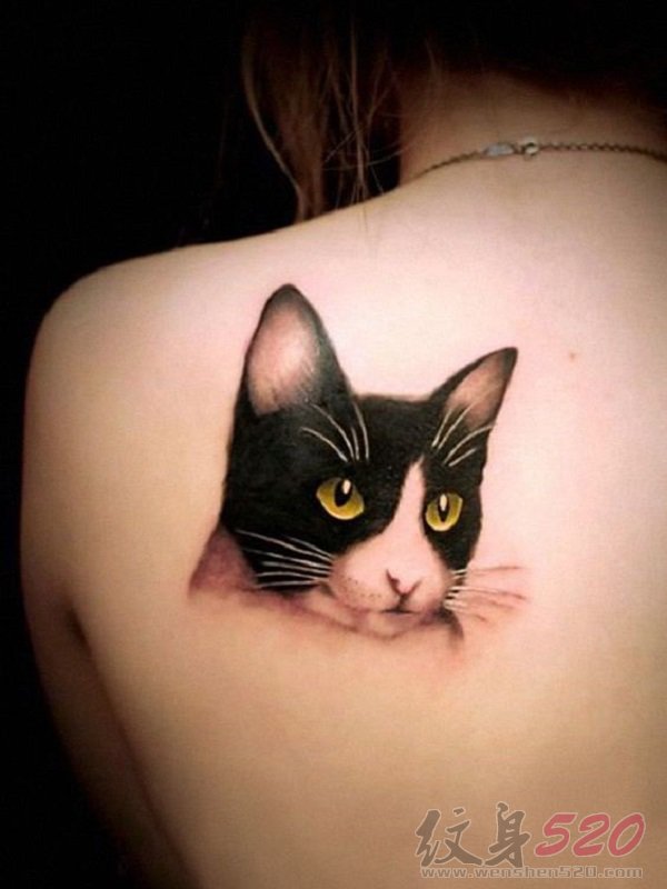 多款关于猫咪的超写实3d创意个性纹身图案
