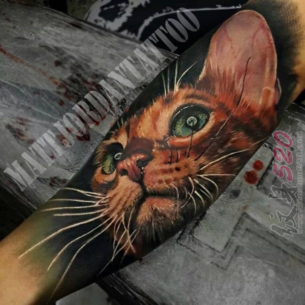 多款关于猫咪的超写实3d创意个性纹身图案