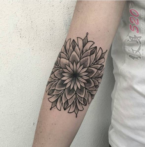 女生手臂上黑色素描创意花朵纹身图片