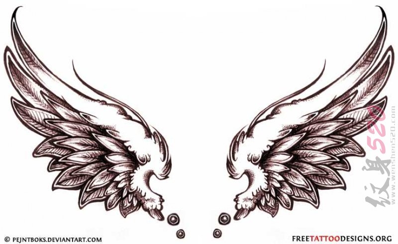 黑色的素描风格羽毛大型天使翅膀纹身手稿
