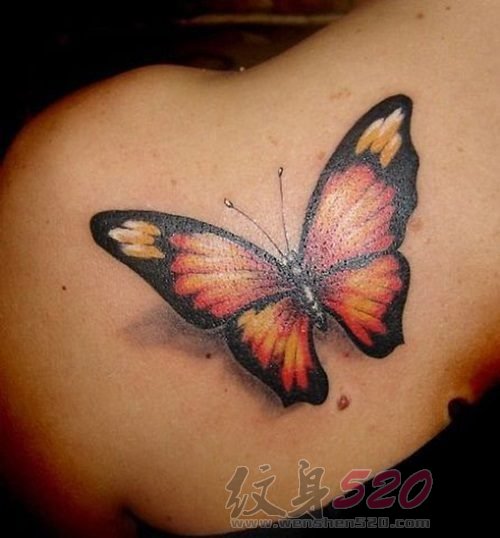 翩翩飞舞的彩绘小动物蝴蝶纹身图案