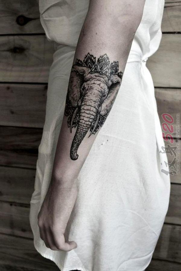 憨态可掬的黑色动物抽象线条大象纹身图案