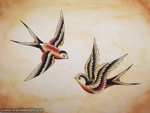 彩绘素描创意个性文艺小清新小鸟纹身手稿