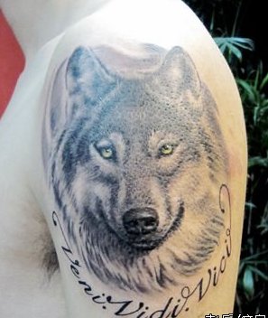 狼纹身，大臂狼纹身，华庄纹身，华庄附近的纹身店电话