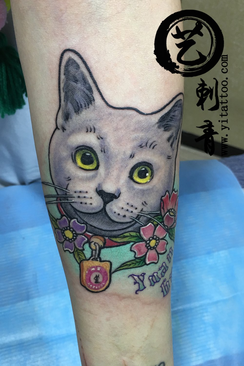 花臂纹身-小猫纹身-彩色小清新文身-沈阳纹身-艺刺青