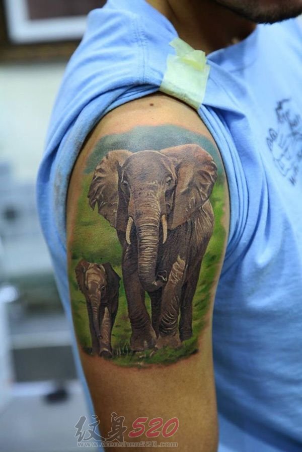 多款关于大象的个性创意花纹纹身图案