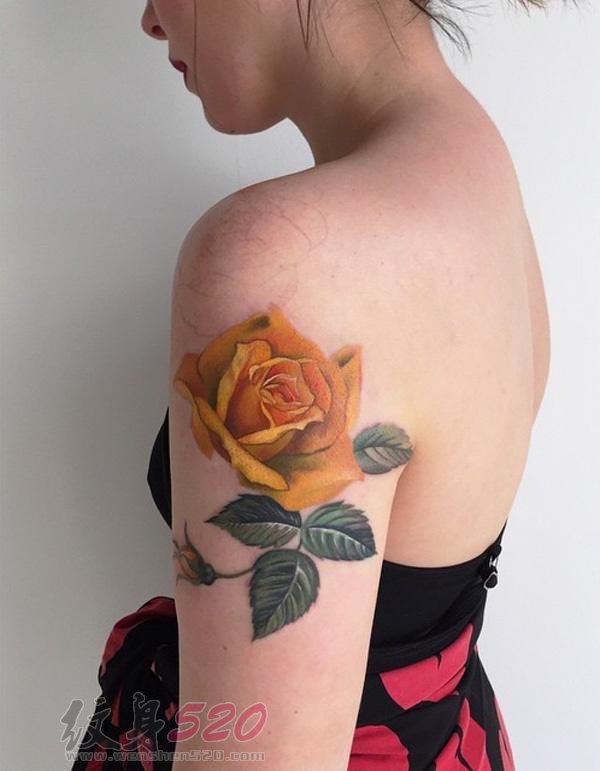 多款关于玫瑰的彩绘水彩文艺小清新唯美花朵纹身图案